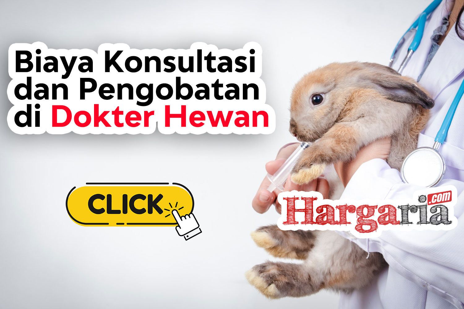 Biaya Konsultasi Dokter Hewan Perumperindo co id