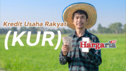 kredit usaha rakyat kur bank bri bni bca btn mandiri