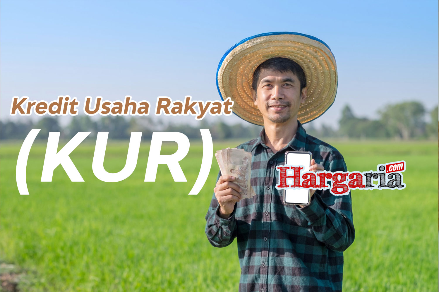 kredit usaha rakyat kur bank bri bni bca btn mandiri