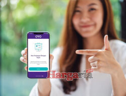 Cara Daftar OVO [year] yang Cepat dan dijamin Approve!