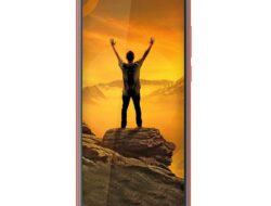 Gionee Max Pro