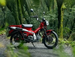 Daftar Harga Motor Honda CT125 Bekas Dan Baru