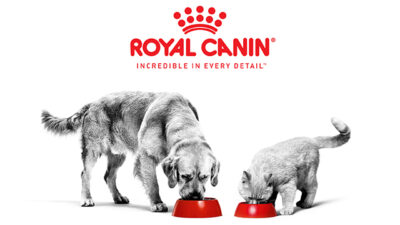 Kenapa Royal Canin Mahal