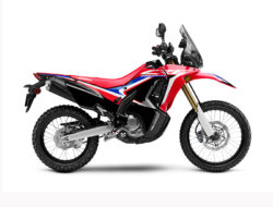 Honda CRF250 RALLY