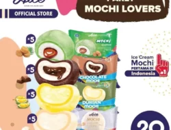 Es Krim Aice Mochi All Varian