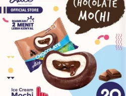 Harga Es Krim Aice Mochi Coklat