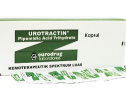 UROTRACTIN 400MG 1 STRIP ISI 10 TABLET