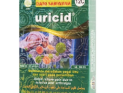 Obat Herbal URICID 100 Pil