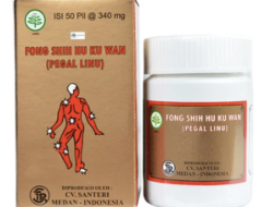 Fong Shih Hu Ku Wan (Obat Encok)