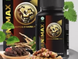 HANIMAX - Obat Kuat / Kapsul Stamina Pria