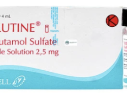Velutine Inhalation Solution 2.5 mg 1 Vial