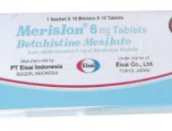 Merislon